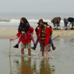 LOUP - Bray-Dunes 2008