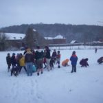 LOUP - Lobbes 2010
